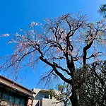 Family Or Business Travel 20 Percent Off丨200 Sqm 丨 14 Min To Shinjuku 丨century-Old Japanese Garden 丨3 Parking Spaces丨4 Bedrooms